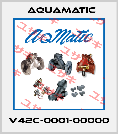 V42C-0001-00000 AquaMatic