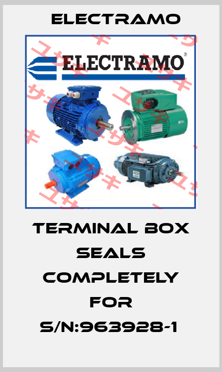 Terminal box seals completely for S/N:963928-1  Electramo