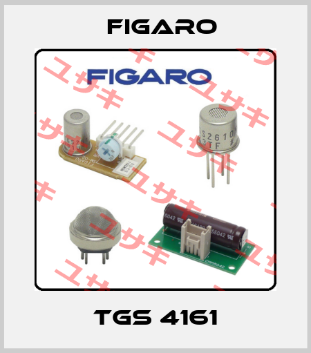 TGS 4161 Figaro