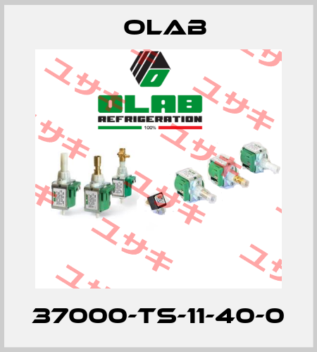37000-TS-11-40-0 Olab