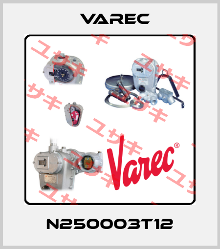 N250003T12 Varec