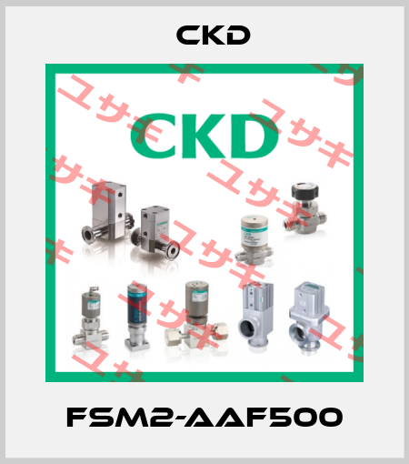 FSM2-AAF500 Ckd
