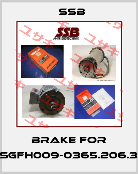 brake for DS-SgFH009-0365.206.30.K1 SSB