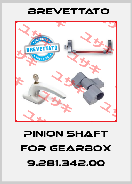 Pinion shaft for gearbox 9.281.342.00 Brevettato