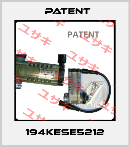 194KESE5212 Patent
