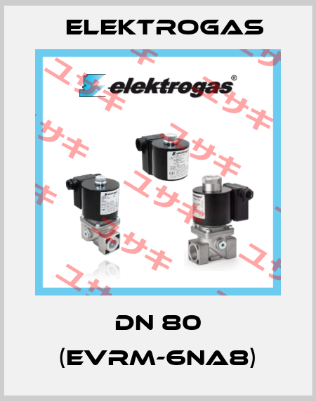 DN 80 (EVRM-6NA8) Elektrogas
