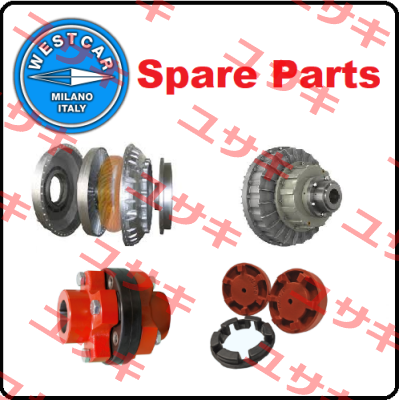 ROTOFLUID COUPLING ALFA SC-F60K02 DIA.75 G7 Westcar
