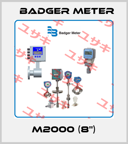 M2000 (8") Badger Meter