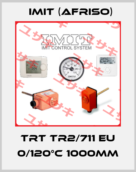 TRT TR2/711 EU 0/120°C 1000mm IMIT (Afriso)