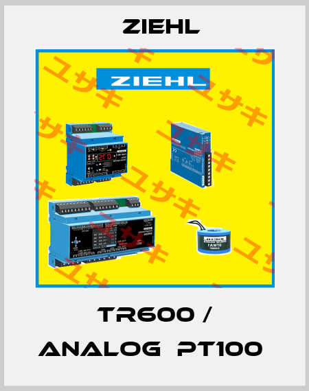 TR600 / ANALOG  PT100  Ziehl