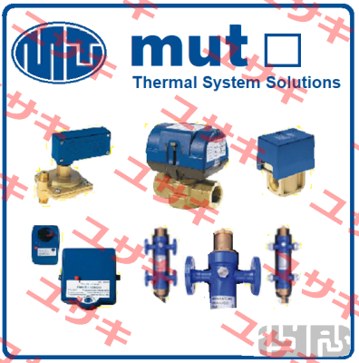SFS-105-M1 G3/8 (7.004.00308) Mut Meccanica Tovo SpA