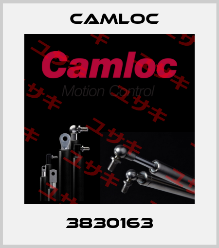 3830163 Camloc