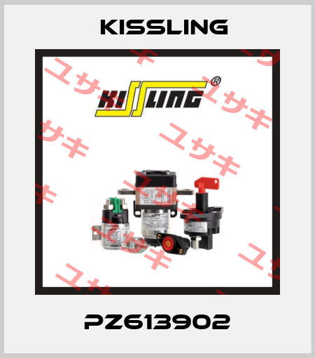PZ613902 Kissling