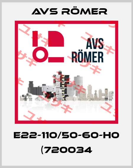 E22-110/50-60-H0 (720034 Avs Römer
