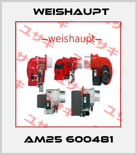AM25 600481 Weishaupt