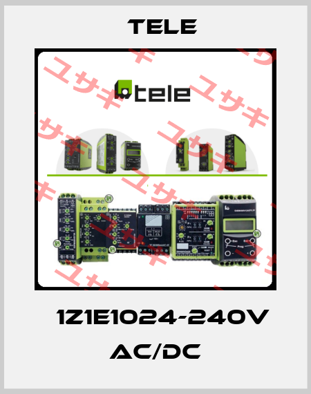 Е1Z1E1024-240V AC/DC Tele