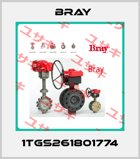 1TGS261801774 Bray