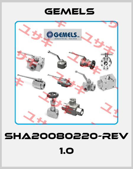 SHA20080220-REV 1.0 Gemels