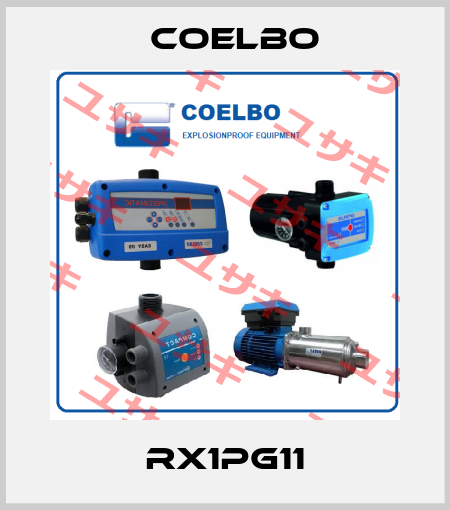 RX1PG11 COELBO