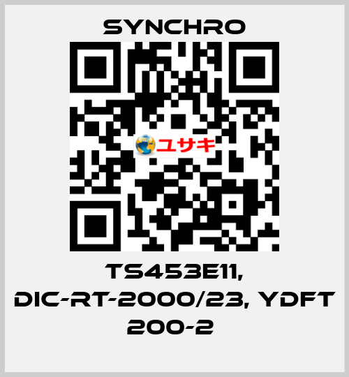 TS453E11, DIC-RT-2000/23, YDFT 200-2  SYNCHRO
