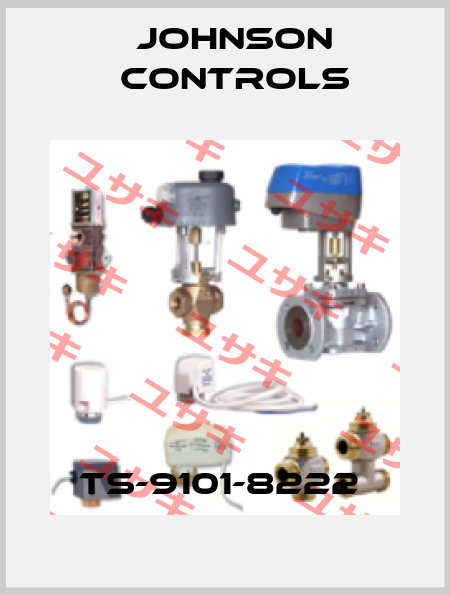 TS-9101-8222  Johnson Controls