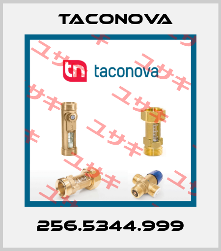 256.5344.999 Taconova