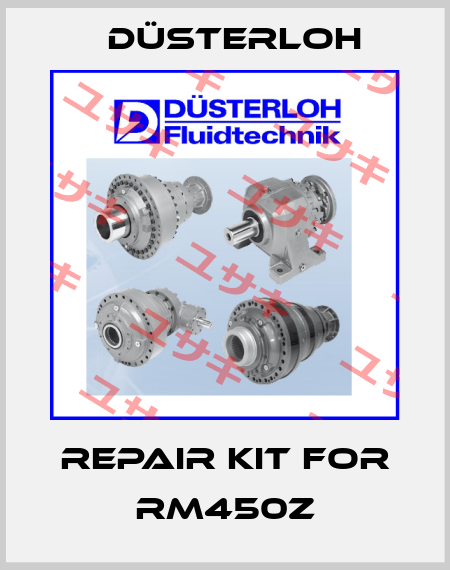 Repair kit for RM450Z Düsterloh