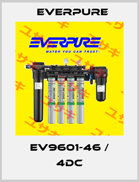 EV9601-46 / 4DC Everpure