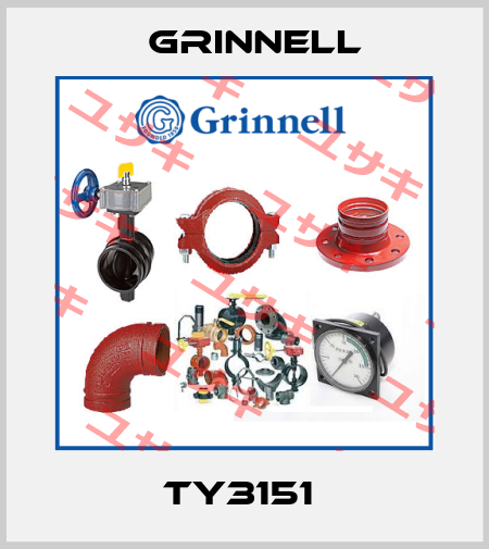 TY3151  Grinnell