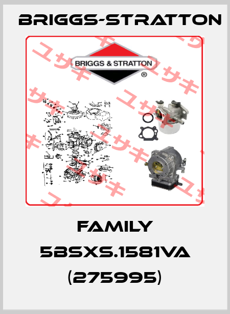 FAMILY 5BSXS.1581VA (275995) Briggs-Stratton
