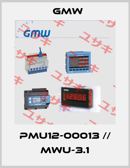 PMU12-00013 // MWU-3.1 GMW