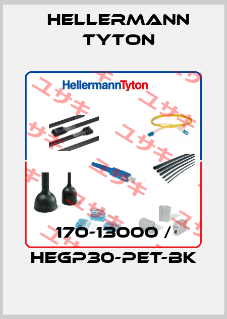 170-13000 / HEGP30-PET-BK Hellermann Tyton