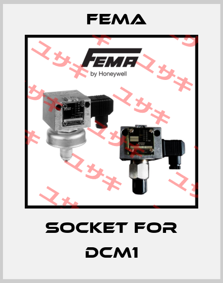 socket for DCM1 FEMA