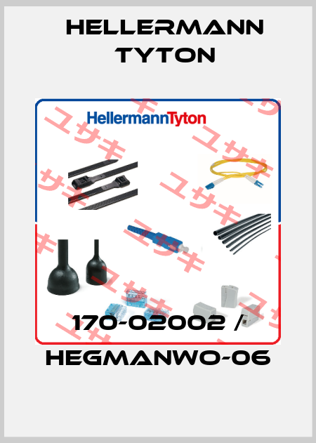 170-02002 / HEGMANWO-06 Hellermann Tyton