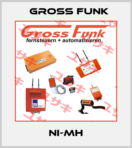 Ni-MH Gross Funk