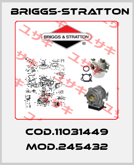 Cod.11031449 Mod.245432 Briggs-Stratton