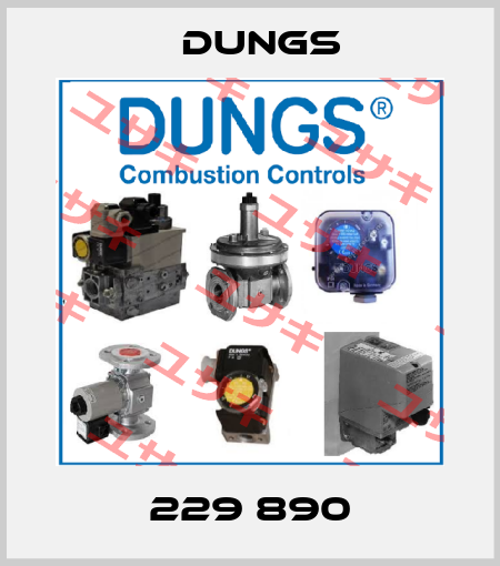 229 890 Dungs