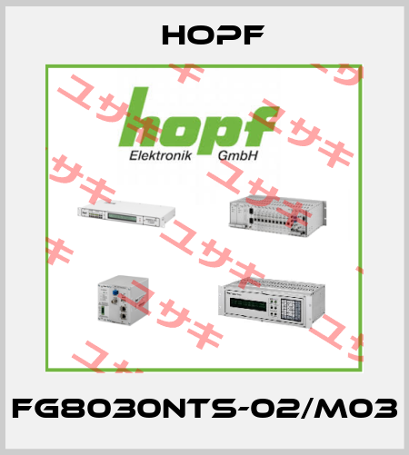 FG8030NTS-02/M03 Hopf