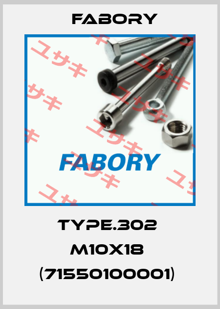 TYPE.302  M10X18  (71550100001)  Fabory