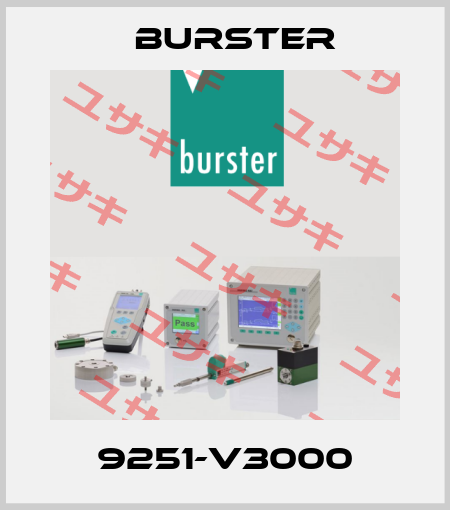 9251-V3000 Burster