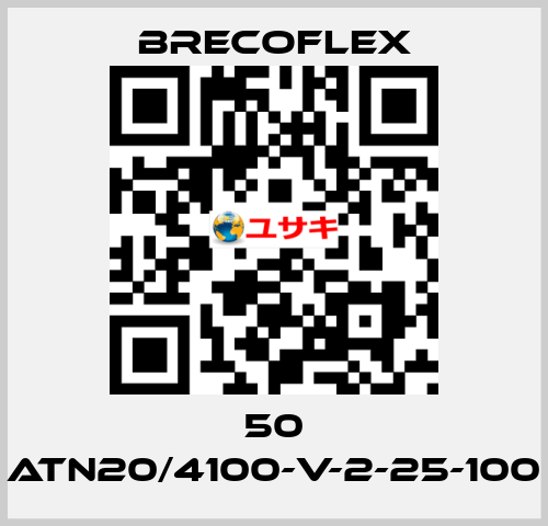 50 ATN20/4100-V-2-25-100 Brecoflex