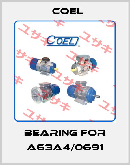 bearing for A63A4/0691 Coel