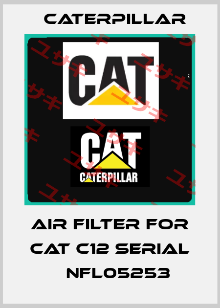 air filter for Cat C12 Serial № NFL05253 Caterpillar
