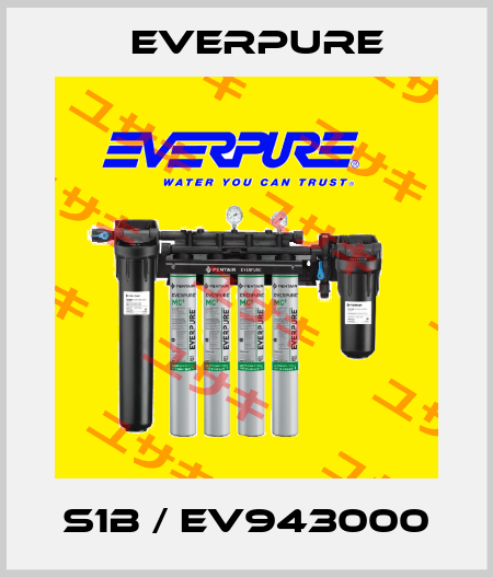 S1B / EV943000 Everpure