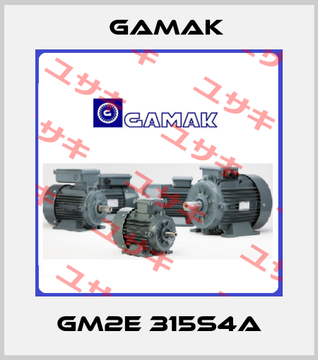 GM2E 315S4A Gamak