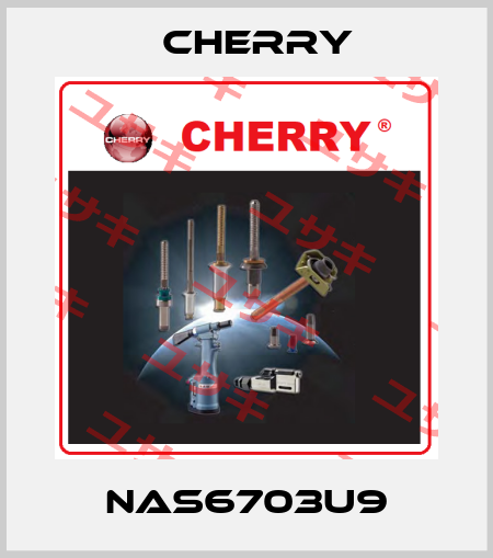 NAS6703U9 Cherry