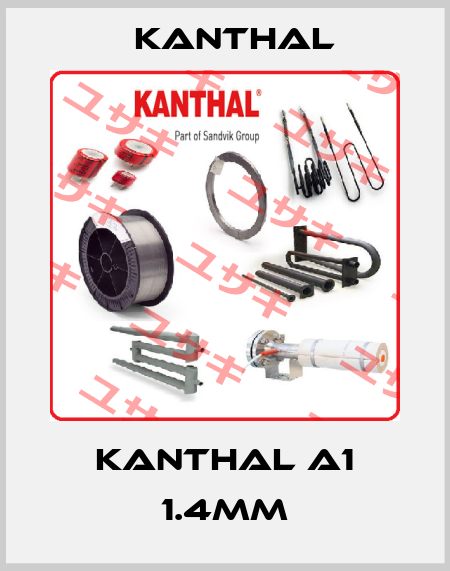 Kanthal A1 1.4mm Kanthal