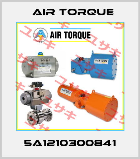 5A1210300841 Air Torque