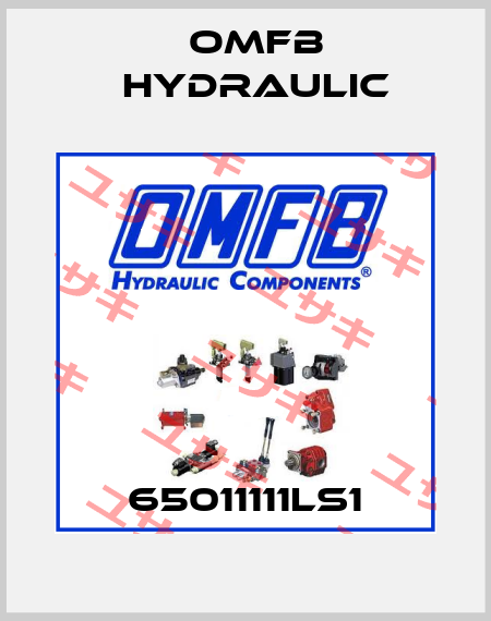 65011111LS1 OMFB Hydraulic