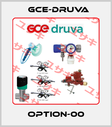 Option-00 Gce-Druva